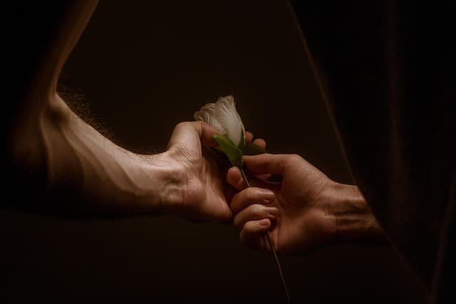 El jueguete del amor